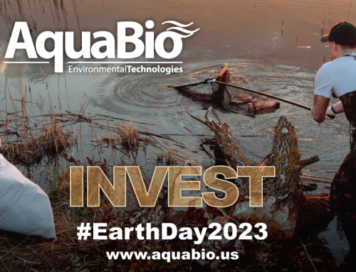 Invest In Our Planet – International Earth Day 2023